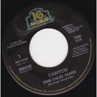 Canyon - Dam These Tears / Carryin' On 