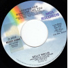 Willis Kelly - Looking For Someone Like You / I'm Just Lonely