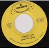 oldies/lewis jerry lee - chantilly lace