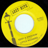 Little Richard -  Keep A Knockin' / She's Got It