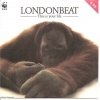 pop/londonbeat - this is your live
