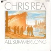 pop/rea chris - all summer long