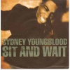 pop/youngbloood sidney - sit and wait
