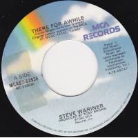 Wariner Steve - There For Awhile / Why Do The Heroes Die So Young