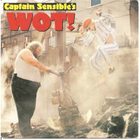 pop/captain sensible - wot