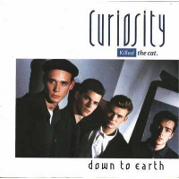 pop/curiosity killed the cat - down to earth