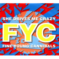 pop/fine young cannibals - she drives me crazy