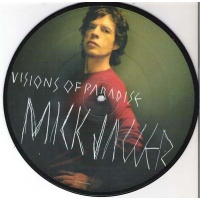 pop/jagger mick - visions of paradise (picture)
