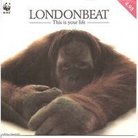 pop/londonbeat - this is your live