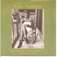 pop/turner tina - nutbush city limits